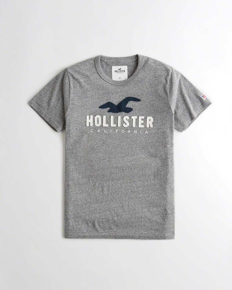 Magliette Hollister Uomo Logo Grigie Italia (666WTARF)